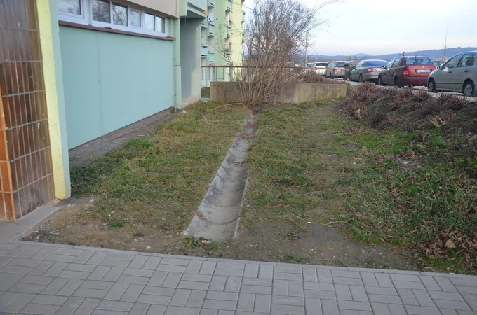 Image00031