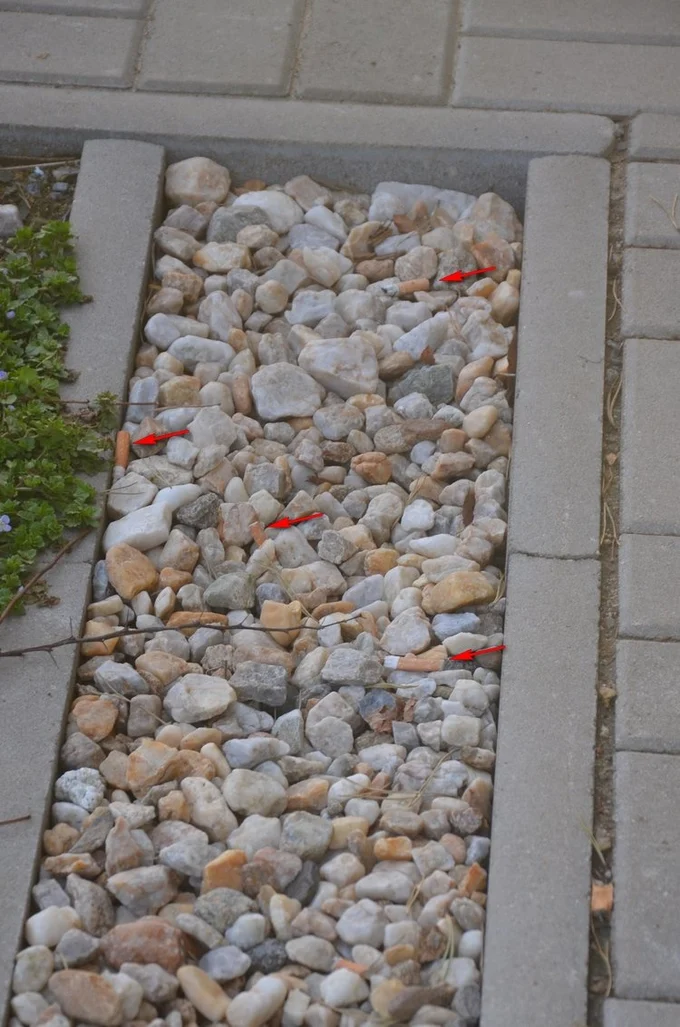 Image00042